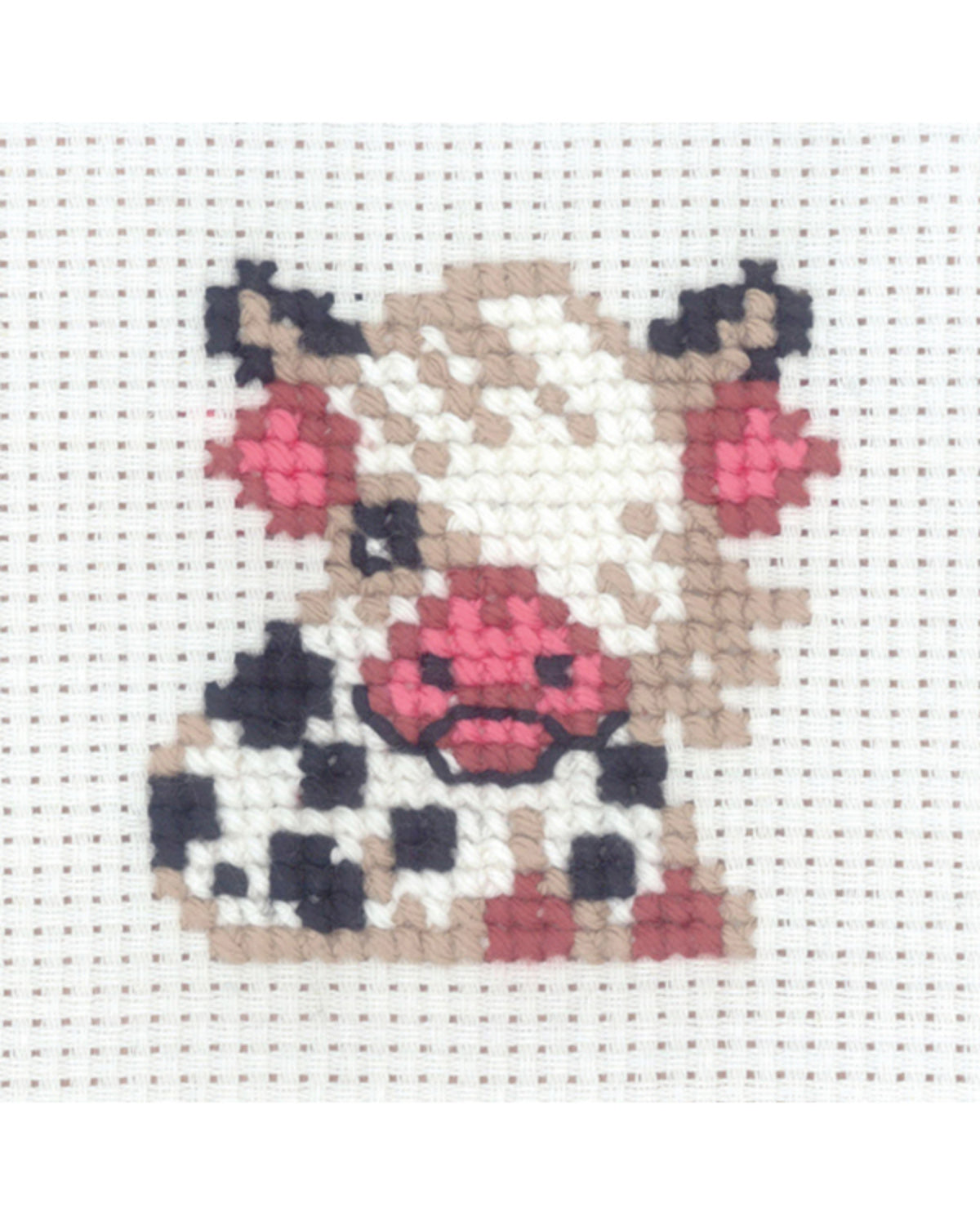 Broderikit - My First Kit