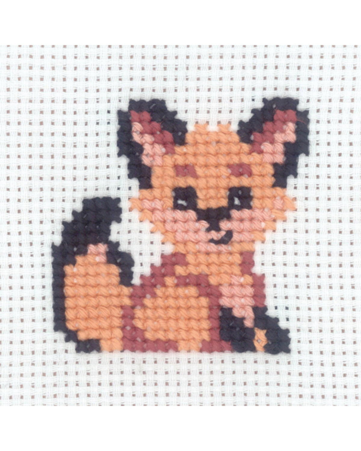 Broderikit - My First Kit