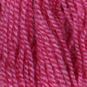 Gepard - Wild and soft