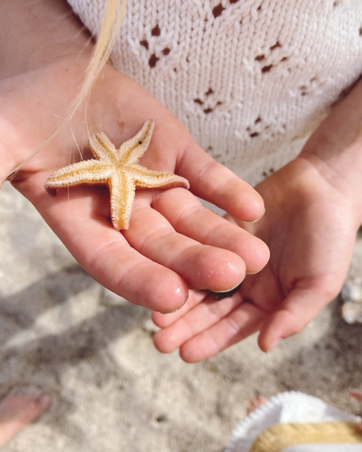 PetiteKnit - Rigmors Summer Blouse junior