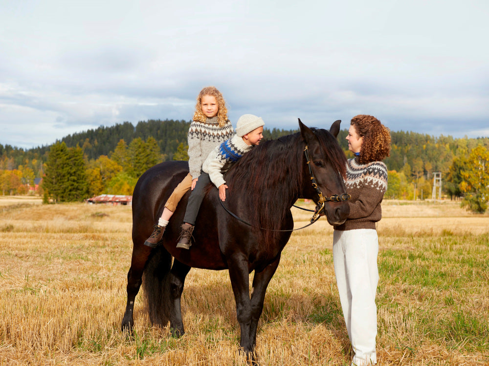 Rauma mönsterhäfte 421 Vams Varde Familie Høst 22