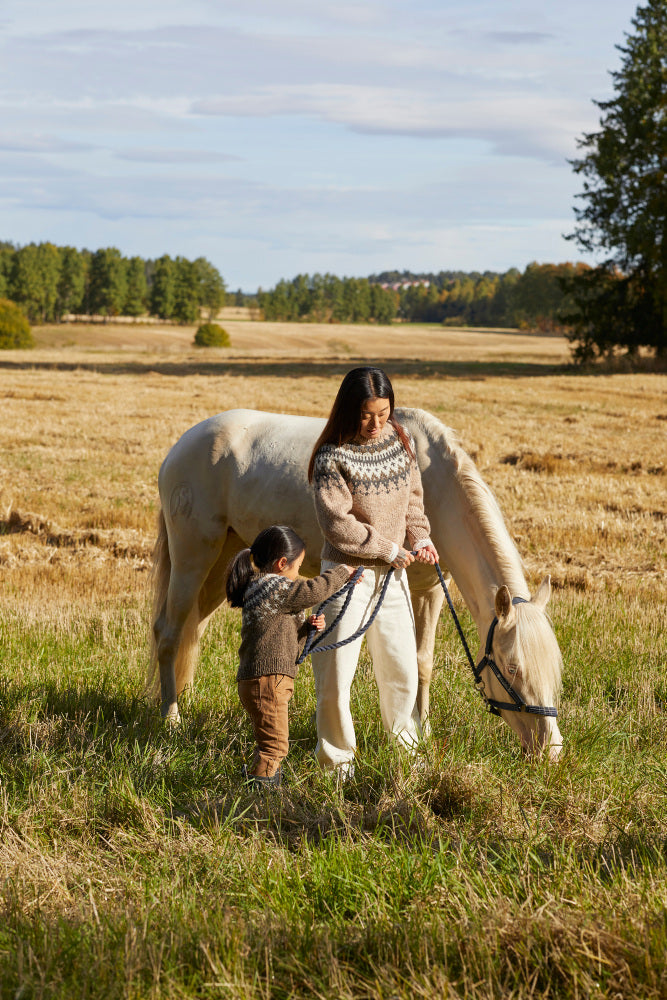 Rauma mönsterhäfte 421 Vams Varde Familie Høst 22