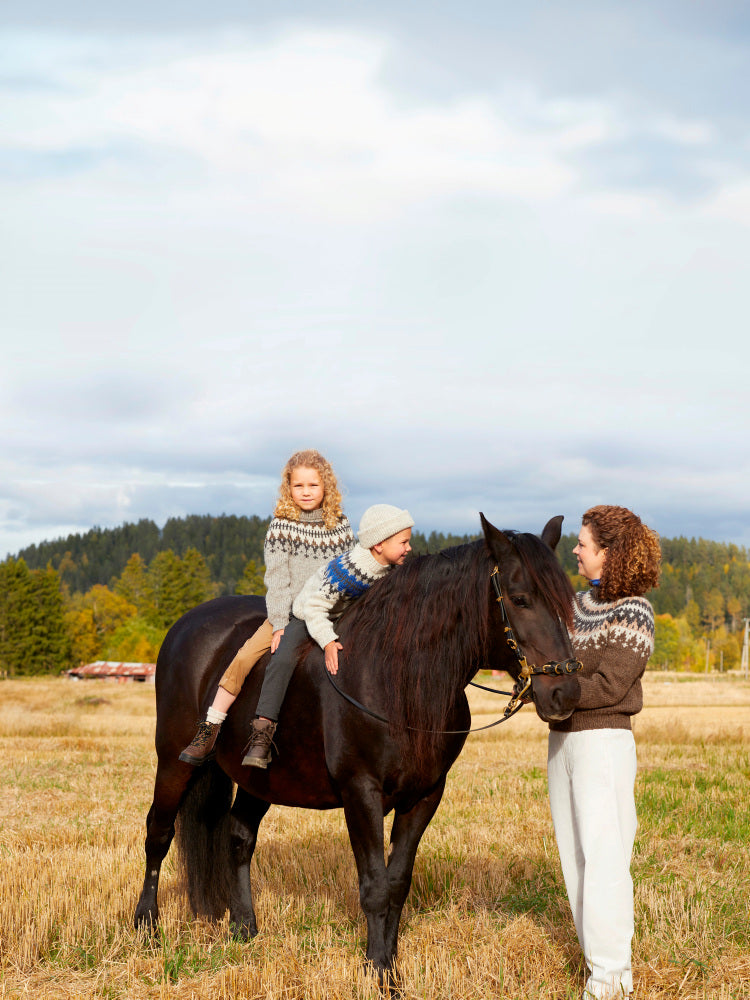 Rauma mönsterhäfte 421 Vams Varde Familie Høst 22