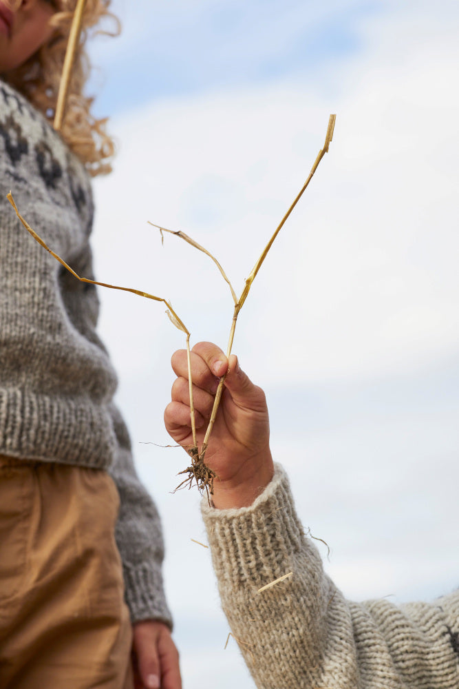 Rauma mönsterhäfte 421 Vams Varde Familie Høst 22