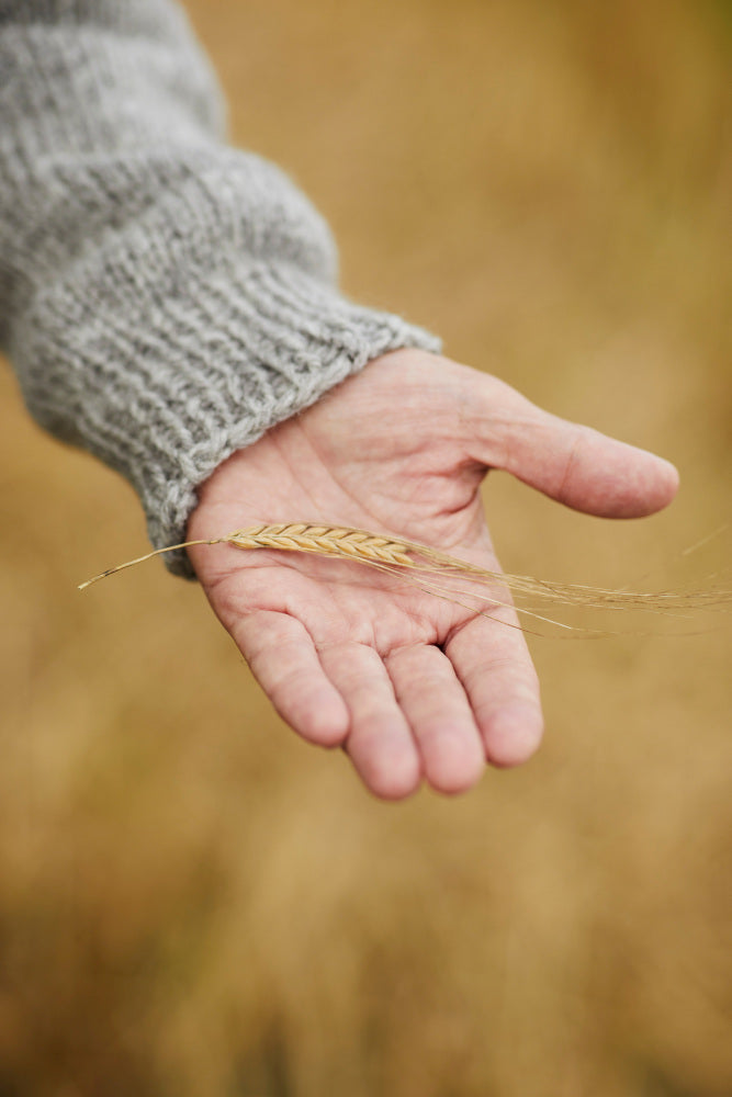 Rauma mönsterhäfte 421 Vams Varde Familie Høst 22