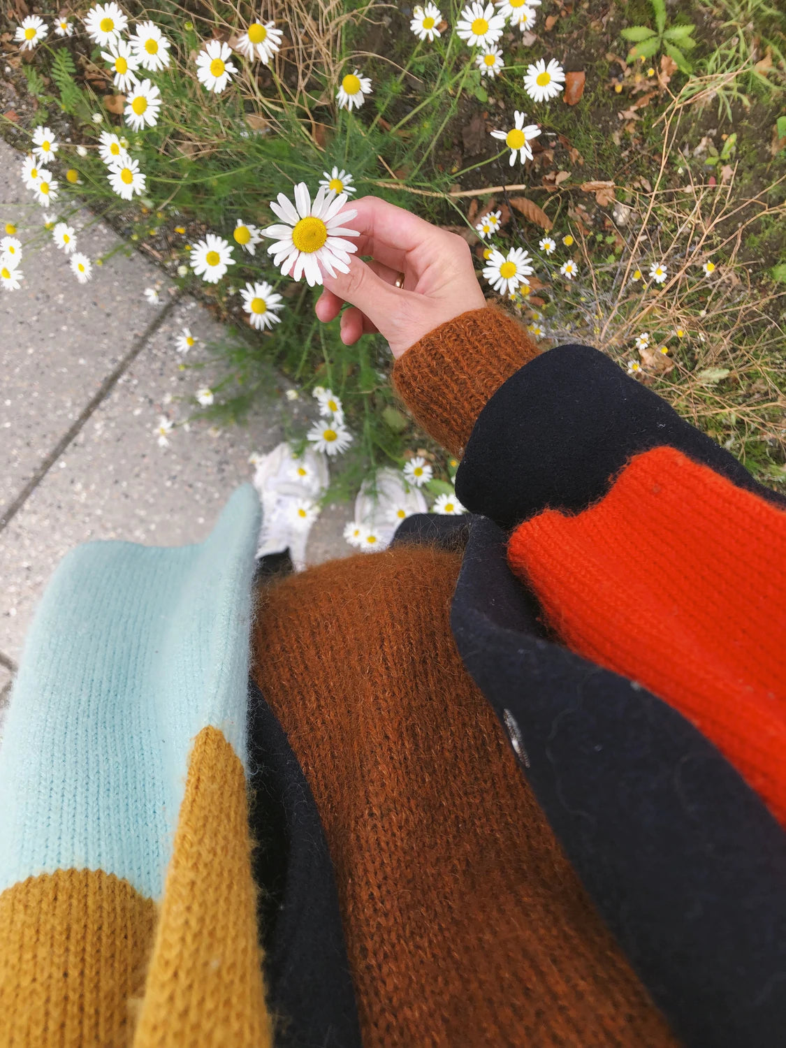 PetiteKnit - Vesterhavssettet