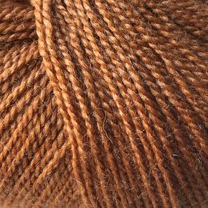 Gepard - Wild and soft