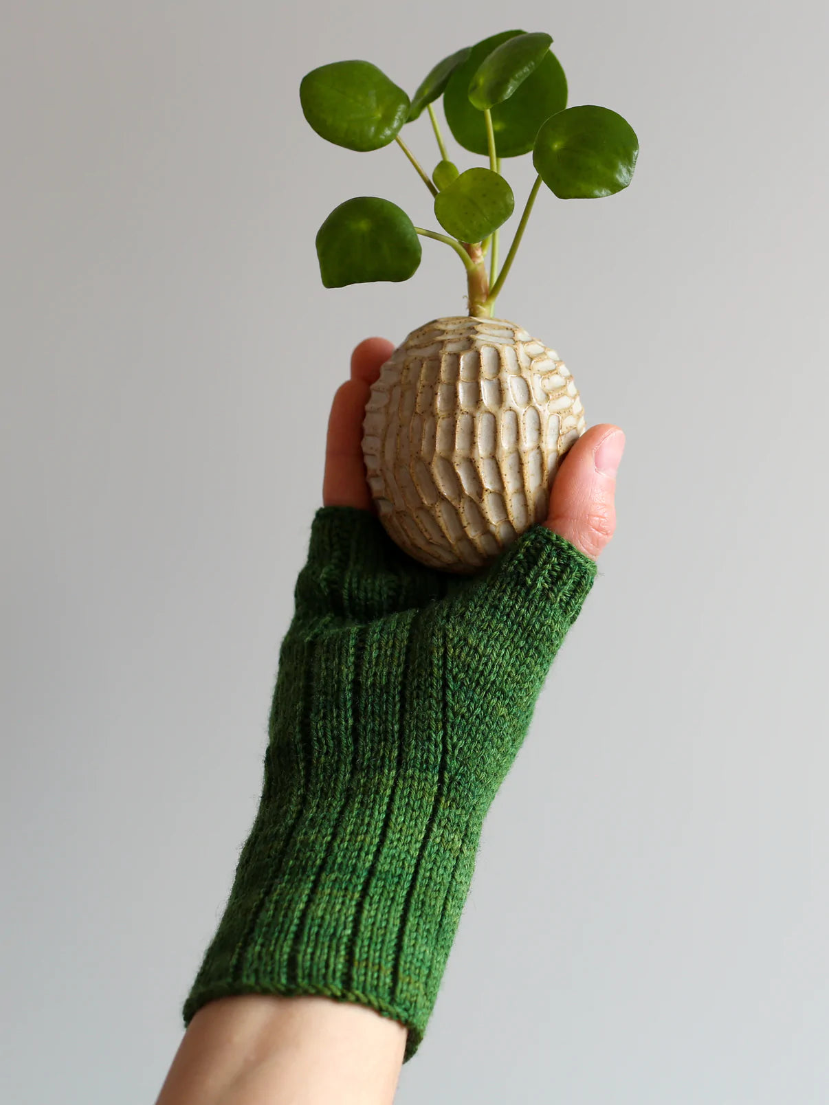 Hagenhuset - Pilea