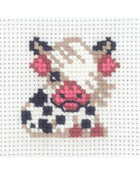 Broderikit - My First Kit