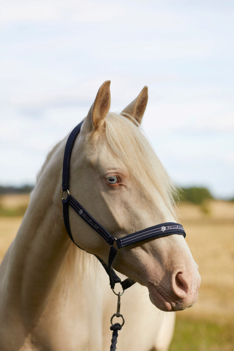 Rauma mönsterhäfte 268 Sokker i 2 tr-gammelserie